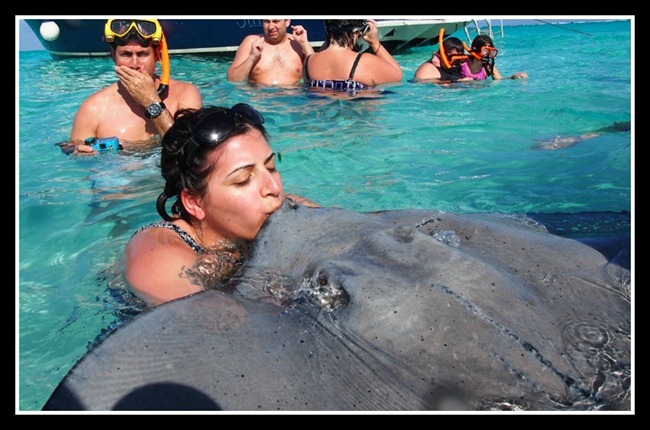Jen Kissing Stingray